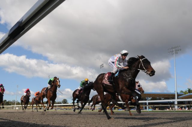 Superior feed solutions for racehorses