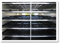 fodder solutions stock feed in 6 days
